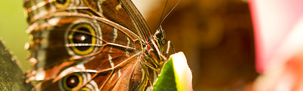 怎么去攻击一个网站与防护